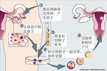 实验室 Fig.01